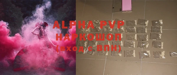 прущие грибы Армянск