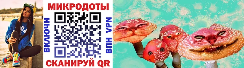 mega ССЫЛКА  Палласовка  Псилоцибиновые грибы Magic Shrooms 